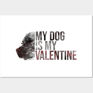 My dog is my valentine Posters and Art